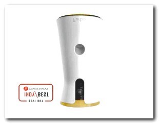 Hidden Camera Wifi Smoke Detector